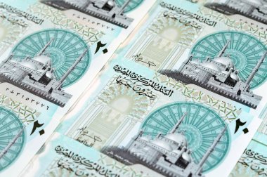 Yeni Mısır 20 EGP LE 20 polimer nakit para banknotu Mohamed Ali Camii, dokunsal ADA Braille noktalarıyla süslenmiş, Kraliçe Kleopatra, Büyük Piramit ve firavun askeri savaş arabası