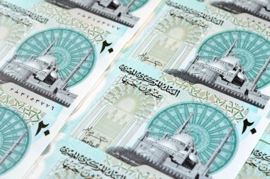 Yeni Mısır 20 EGP LE 20 polimer nakit para banknotu Mohamed Ali Camii, dokunsal ADA Braille noktalarıyla süslenmiş, Kraliçe Kleopatra, Büyük Piramit ve firavun askeri savaş arabası