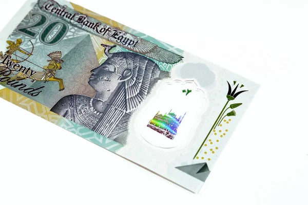 Reverse Side New Egyptian Egp Twenty Polymer Pounds Cash Money — Stock Photo, Image