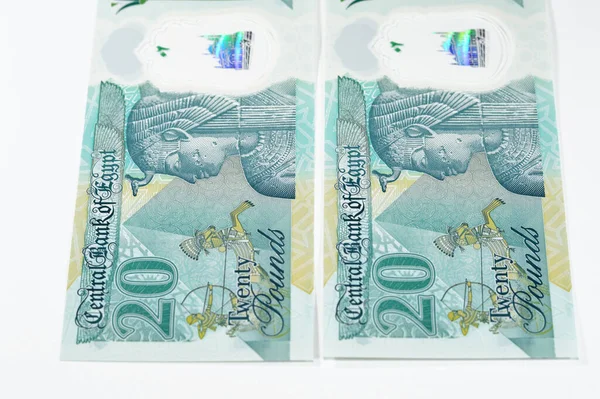 Зворотний Бік Нового Єгипетського Egp Двадцять Полімерних Фунтів Грошової Купюри — стокове фото