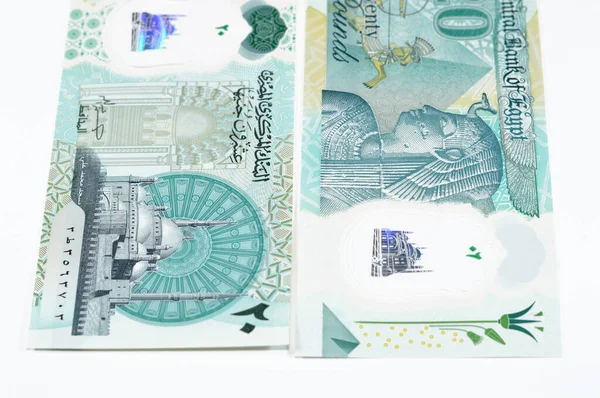 新埃及20埃及20埃及镑20镑现金钞票钞票上有穆罕默德阿里清真寺 装饰有触觉Ada盲文点 女王克里奥帕特拉 大金字塔和法老军用战车 — 图库照片