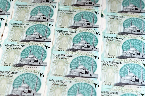 新埃及20埃及20埃及镑20镑现金钞票钞票上有穆罕默德阿里清真寺 装饰有触觉Ada盲文点 女王克里奥帕特拉 大金字塔和法老军用战车 — 图库照片