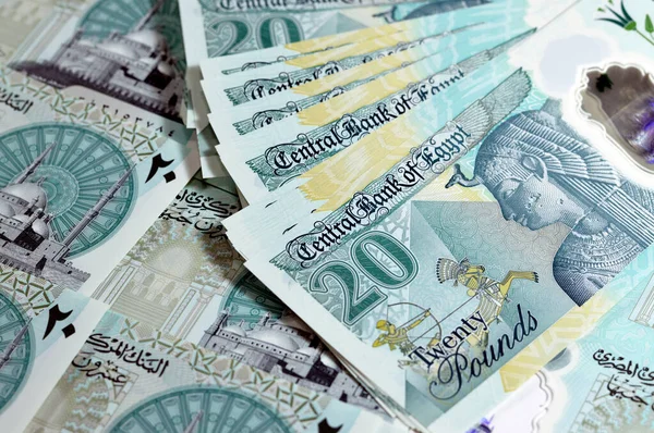 Новый Египетский Egp Двадцать Полимеров Фунтов Наличные Деньги Банкноты Законопроект — стоковое фото