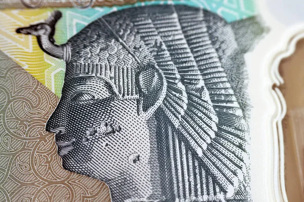 新しいエジプト20 Egp 20高分子ポンドの現金紙幣の裏面からの女王クレオパトラ偉大なピラミッドと一緒にファラオ軍の戦車 選択的フォーカス — ストック写真