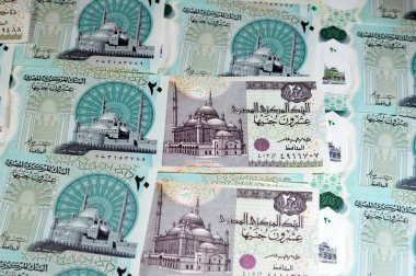 Eski 20 LE - Yeni Mısır 20 EGP LE 20 polimer nakit para banknotu Mohamed Ali Camii, dokunsal ADA Braille noktalarıyla süslenmiş, Kraliçe Kleopatra, Büyük Piramit, firavun arabası