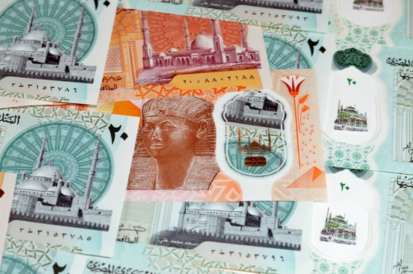 Mısırlı Yeni Polimer Para Banknotları Nakit Para Banknotları Arka Planda — Stok fotoğraf