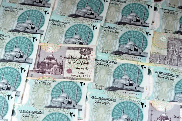Vechi Nou Egiptean Egp Douăzeci Lire Sterline Bancnotă Bani Numerar — Fotografie, imagine de stoc