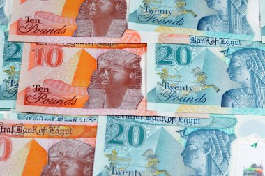 Mısırlı yeni polimer para banknotları nakit para banknotları arka planda Mısır 20 EGP LE 20 pound ve 10 pound Mohamed Ali ve Al-Fatah yeni başkent büyük camii camileri yer almaktadır