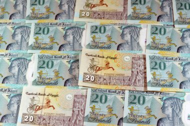 Eski 20 LE - Yeni Mısır 20 EGP LE 20 polimer nakit para banknotu Mohamed Ali Camii, dokunsal ADA Braille noktalarıyla süslenmiş, Kraliçe Kleopatra, Büyük Piramit, firavun arabası