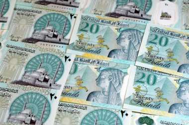 Yeni Mısır 20 EGP LE 20 polimer nakit para banknotu Mohamed Ali Camii, dokunsal ADA Braille noktalarıyla süslenmiş, Kraliçe Kleopatra, Büyük Piramit ve firavun askeri savaş arabası