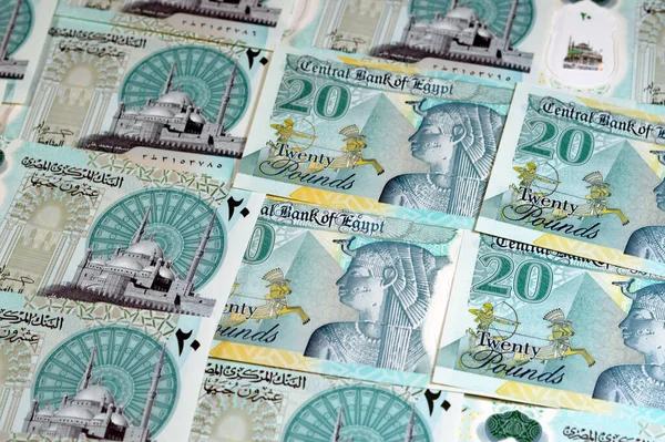 stock image new Egyptian 20 EGP LE twenty polymer pounds cash money banknote bill features Mohamed Ali Mosque, adorned with tactile ADA Braille dots, queen Cleopatra, Great Pyramid and pharaonic military chariot