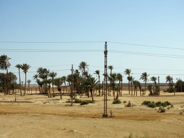 Hz. Musa Pınarları, Sina Yarımadası 'ndaki su kuyuları ve palmiyeler, Ras Sidr, Mısır, Musa' nın pınarları, Sina Çölü 'nün ortasında küçük verimli bir vaha oluşturan bir grup kaplıcadır.