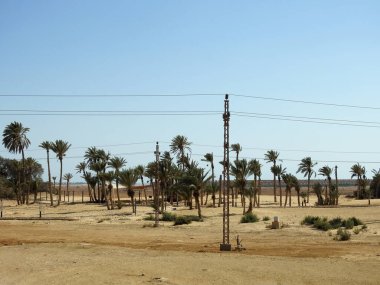 Hz. Musa Pınarları, Sina Yarımadası 'ndaki su kuyuları ve palmiyeler, Ras Sidr, Mısır, Musa' nın pınarları, Sina Çölü 'nün ortasında küçük verimli bir vaha oluşturan bir grup kaplıcadır.