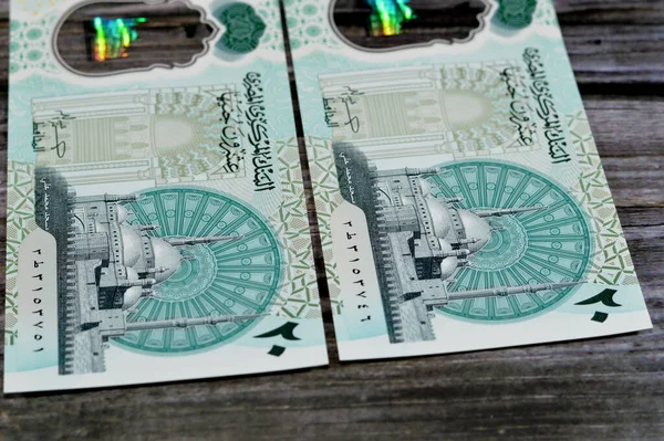Обратная Сторона Нового Египетского Egp Двадцать Полимеров Фунтов Наличными Деньгами — стоковое фото