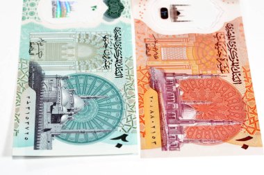 Mısırlı yeni polimer para banknotları nakit para banknotları arka planda Mısır 20 EGP LE 20 pound ve 10 pound Mohamed Ali ve Al-Fatah yeni başkent büyük camii camileri yer almaktadır