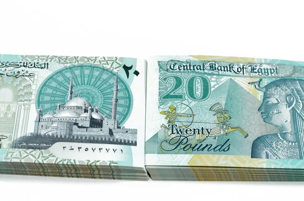 新しいエジプト20 Egp 20ポンドのポリマーポンドの現金紙幣には 触覚Ada点字ドット 女王クレオパトラ 大ピラミッド ファラオ軍の戦車で飾られたモハメド アリモスクが特徴です — ストック写真