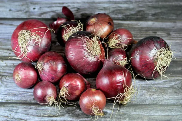 Pile of red onions, purple or blue onions,  cultivars of the onion (Allium cepa), and have purplish-red skin and white flesh tinged with red. They are most commonly used in cooking, selective focus