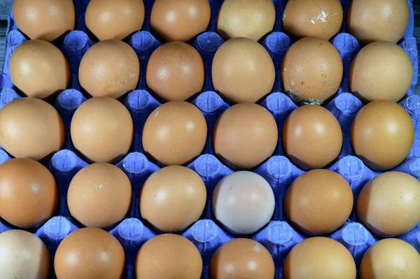 Pile of organic brown fresh and raw hen chicken eggs, stack of eggs isolated and ready to be cooked in various cuisines, selective focus of eggs which consists of egg yolk and white part albumen