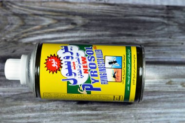 Kahire, Mısır, 4 Ağustos 2023: Yeni Pyrosol altın uçan böcek öldürücü sprey, Orta Kimyasallar için Nasr Şirketi tarafından, yaygın ev böceklerini öldürüyor, sürünen ve uçan böcekler için böcek ilacı