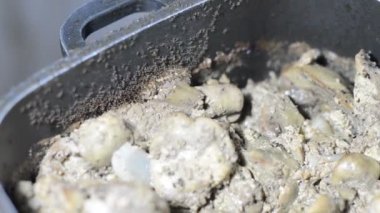 Karınca kolonisinden toplanan ve pişmiş tavuk ciğerini yemek tenceresinden koloni depolarına aktaran çok sayıda karınca hayatta kalmak için özerk, toplumsal ve verimli bir şekilde organize olmuşlardır.