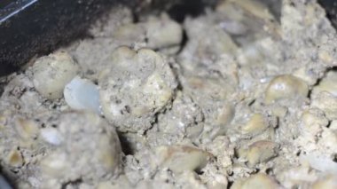 Karınca kolonisinden toplanan ve pişmiş tavuk ciğerini yemek tenceresinden koloni depolarına aktaran çok sayıda karınca hayatta kalmak için özerk, toplumsal ve verimli bir şekilde organize olmuşlardır.