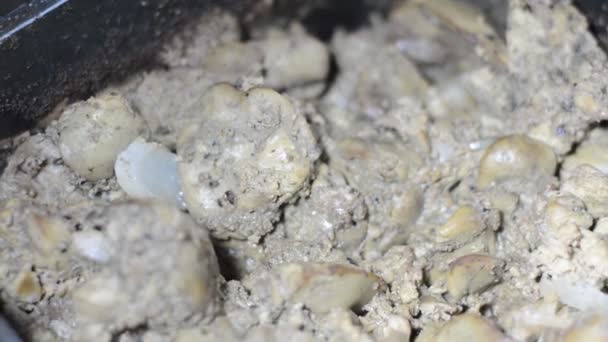 Gran Número Hormigas Recogiendo Transfiriendo Alimentos Hígado Pollo Cocinado Una — Vídeo de stock