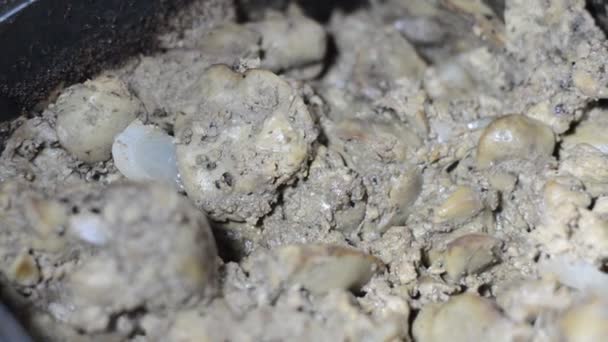 Karınca Kolonisinden Toplanan Pişmiş Tavuk Ciğerini Yemek Tenceresinden Koloni Depolarına — Stok video