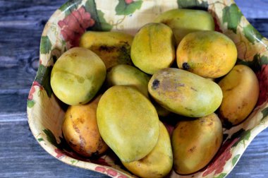 Pile of Egyptian fresh mango fruit with tropical delicacy, mangoes are nutritionally rich fruit with distinctive flavor, smell, taste, selective focus of Awaisy or Ewes Mango fruit isolated on wood