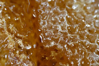 Kraliçe arının yumurtalarını saklayan ve işçi arıların kovanlarına getirdikleri polen ve balı saklayan ballı altıgen bal peteği hücreleri bal, larva ve polen depolamak için inşa edilmiş prizmatik balmumu hücreleri.