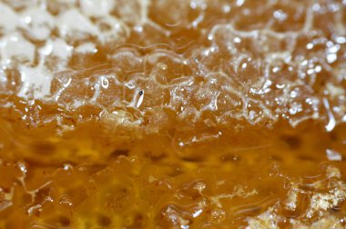 Kraliçe arının yumurtalarını saklayan ve işçi arıların kovanlarına getirdikleri polen ve balı saklayan ballı altıgen bal peteği hücreleri bal, larva ve polen depolamak için inşa edilmiş prizmatik balmumu hücreleri.