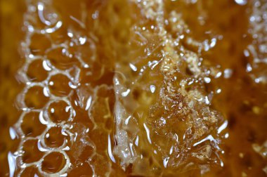 Kraliçe arının yumurtalarını saklayan ve işçi arıların kovanlarına getirdikleri polen ve balı saklayan ballı altıgen bal peteği hücreleri bal, larva ve polen depolamak için inşa edilmiş prizmatik balmumu hücreleri.