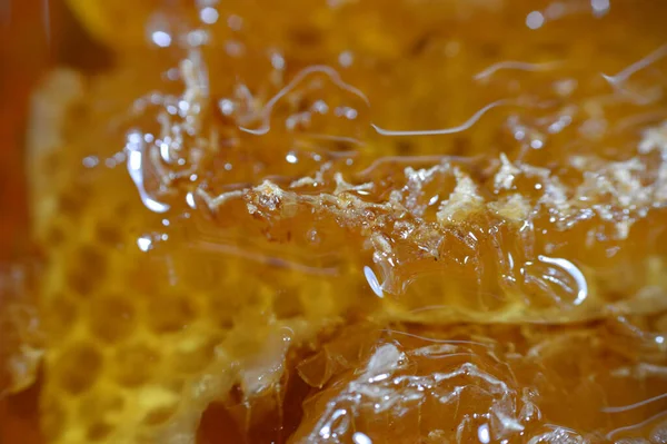 Sechseckige Wabenzellen Mit Honig Die Die Eier Der Bienenkönigin Halten — Stockfoto