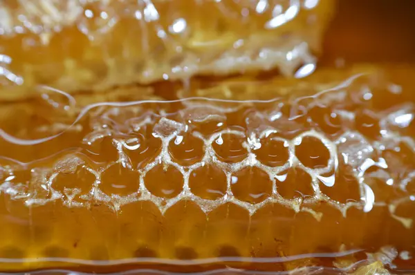 Šestiúhelníkové Plástové Buňky Medem Které Drží Včelí Vejce Královny Skladují — Stock fotografie