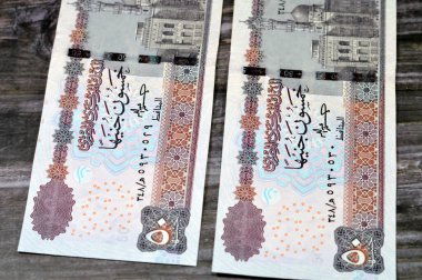 50 LE 50 Mısırlı banknot serisi 2022 