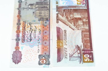 50 EGP LE 50 Mısır nakit para banknotları Ebu Hurayba Camii görüntüsü ters tarafta ve Edfu tapınağı ve kanatlı bok böceği ters tarafta, seçici Mısır para izole