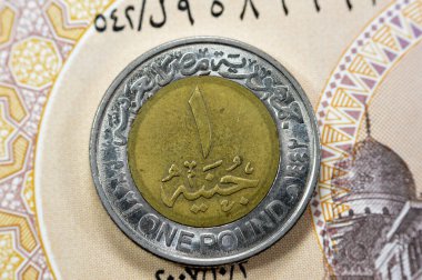 Mısır 'ın ters tarafında değeri ve tarihi olan bir pound, Mısır sağlık personelinin Coronavirus salgınının ortasında hayat kurtarma çabalarının takdir edilmesinde ters tarafta yer alan slogan (COVID-19)