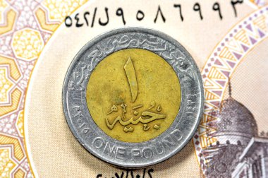 Mısır 1 LE EGP 'sinin ters yüz tarihi ve değeri Mısır banknotunda 1 Pound Mısır parası Mısır' da Süveyş Kanalı 'nı geçen gemilerin sloganı Yeni Süveyş Kanalı Mısır için 1 EGP LE notunda anıt