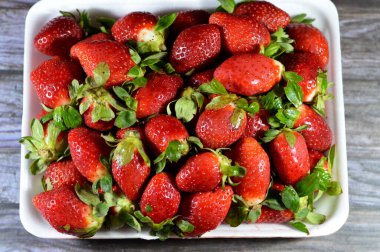 Taze çilek yığını, bahçe çileği Fragaria anananassa cinsinin karakteristik aroması, parlak kırmızı rengi, sulu dokusu ve tatlılığı ile yaygın olarak yetişen bir melez türüdür.