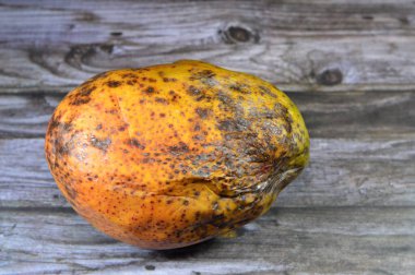 Küflü mango meyvesi, bazı mantarların oluşturabileceği yapılardan biridir, mantar ikincil metabolitleri içeren sporların oluşumu, çürüyen limon, kuru, soluk renk kaybı,