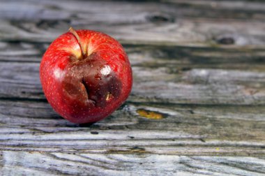 Küflü elma meyvesi, bazı mantarların oluşturabileceği yapılardan biridir. Mantar ikincil metabolitleri içeren sporlar, çürüyen limon, kuru, soluk renk kaybı,