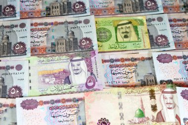 Suudi Arabistan parası, Kral Salman Bin AbdülAziz Al Suud döneminin farklı değer riyalleri ve Mısır 'a ait banknotlar, Suudi ve Mısır' a ait para döviz kuru ve ekonomi durumu, Pound ve Riyal