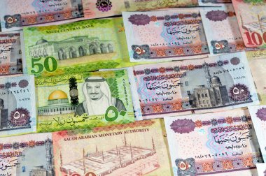 Suudi Arabistan parası, Kral Salman Bin AbdülAziz Al Suud döneminin farklı değer riyalleri ve Mısır 'a ait banknotlar, Suudi ve Mısır' a ait para döviz kuru ve ekonomi durumu, Pound ve Riyal
