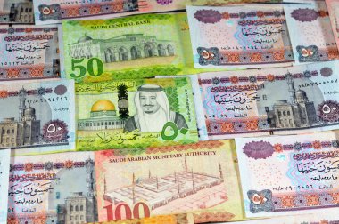 Suudi Arabistan parası, Kral Salman Bin AbdülAziz Al Suud döneminin farklı değer riyalleri ve Mısır 'a ait banknotlar, Suudi ve Mısır' a ait para döviz kuru ve ekonomi durumu, Pound ve Riyal