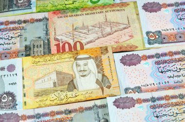 Suudi Arabistan parası, Kral Salman Bin AbdülAziz Al Suud döneminin farklı değer riyalleri ve Mısır 'a ait banknotlar, Suudi ve Mısır' a ait para döviz kuru ve ekonomi durumu, Pound ve Riyal