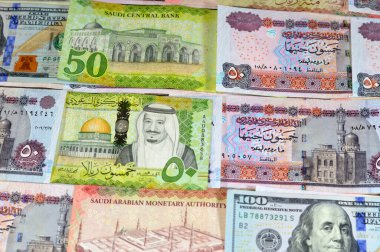 Amerikan doları, Suudi Arabistan parası Kral Salman Bin AbdulAziz El Suud dönemi ve Mısır para bozdurma oranı, Suudi ve Mısır 'a ait banknotlar.