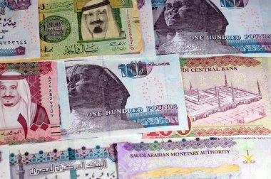 Pound and Riyal, Suudi Arabistan para banknotları Kral Salman Bin AbdülAziz Al Suud döneminin farklı değer riyalleri ve Mısır 'ın £notları, Suudi ve Mısır para döviz kuru ve ekonomi durumu