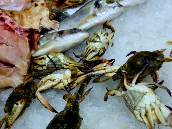 Çeşitli taze deniz ürünleri, balık filetosu, kabuklu deniz hayvanı, midye, yengeç ve karides ve buzun üzerine konmuş, çeşitli mutfaklarda pişirilmeye hazır diğer çeşitli deniz ürünleri.