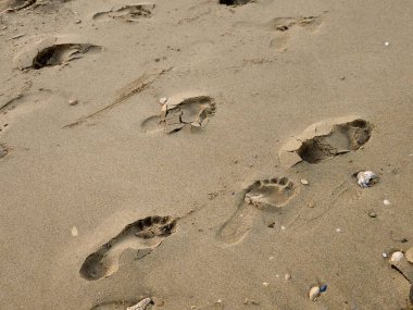 Kumsaldaki ayak izleri, insan ayağının bıraktığı izler, yüzeydeki ayak izleri, ayakkabı izi, ayak izi, ayak izi...