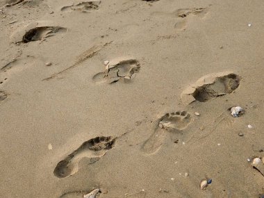Kumsaldaki ayak izleri, insan ayağının bıraktığı izler, yüzeydeki ayak izleri, ayakkabı izi, ayak izi, ayak izi...