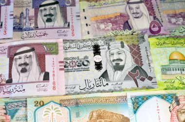 Suudi Arabistan para banknotları farklı değerlere sahip, Suudi Arabistan 'ın çeşitli kralları, para ve para biriminin ekonomik durumu, enflasyon ve büyüme konsepti